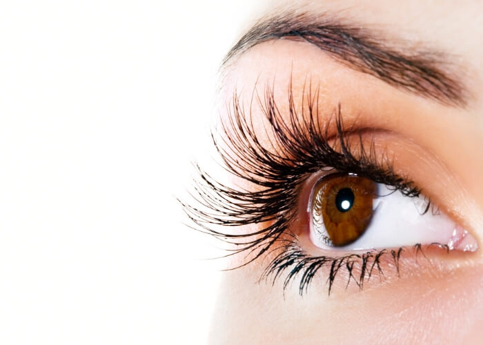 Closeup of an eye with long, upper eyelashes